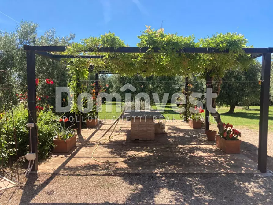 Immagine 10 di Rustico / casale in vendita  in Pescia Fiorentina a Capalbio