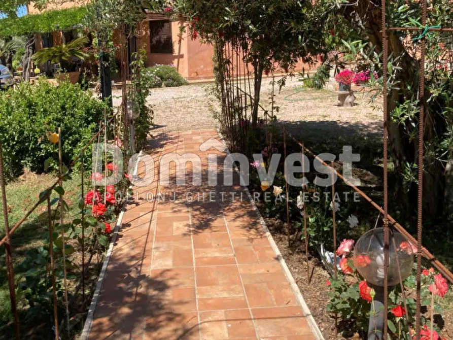 Immagine 11 di Rustico / casale in vendita  in Pescia Fiorentina a Capalbio