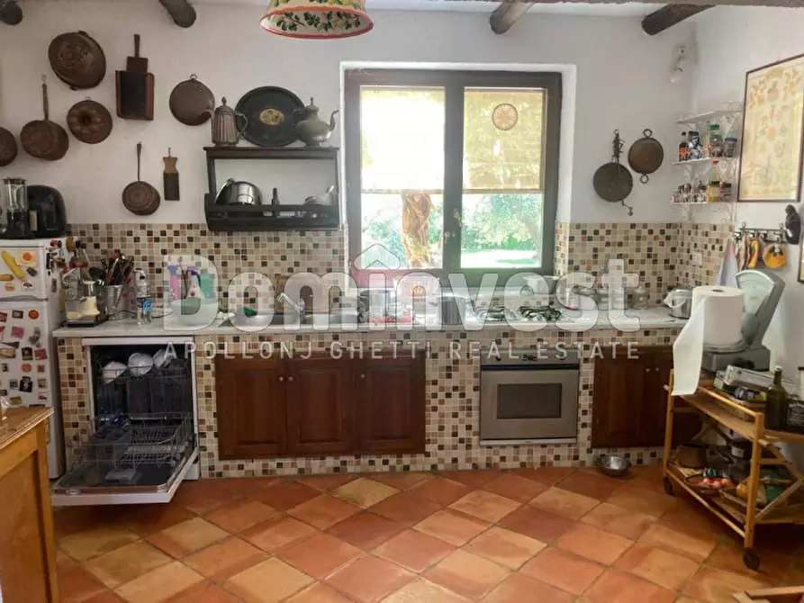 Immagine 15 di Rustico / casale in vendita  in Pescia Fiorentina a Capalbio