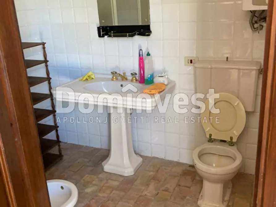 Immagine 17 di Rustico / casale in vendita  in Pescia Fiorentina a Capalbio