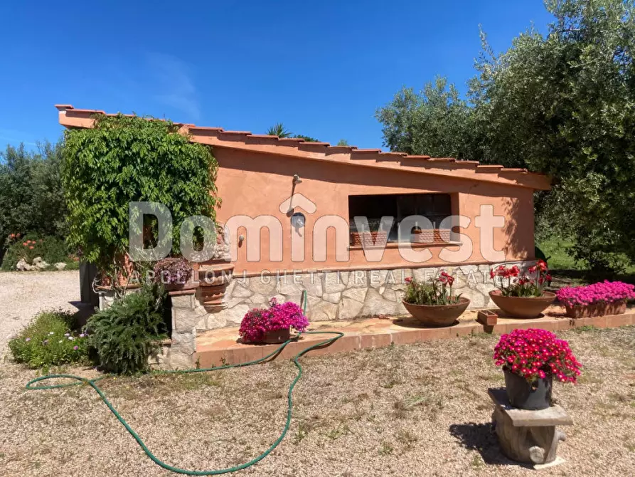 Immagine 22 di Rustico / casale in vendita  in Pescia Fiorentina a Capalbio