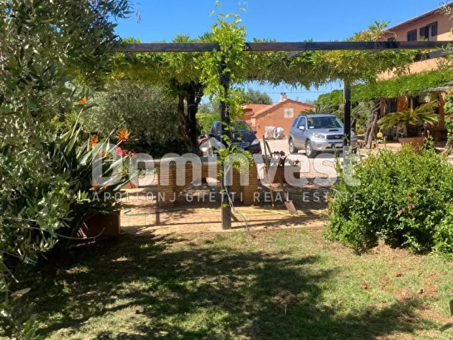 Immagine 23 di Rustico / casale in vendita  in Pescia Fiorentina a Capalbio