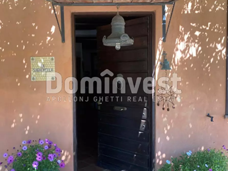 Immagine 27 di Rustico / casale in vendita  in Pescia Fiorentina a Capalbio