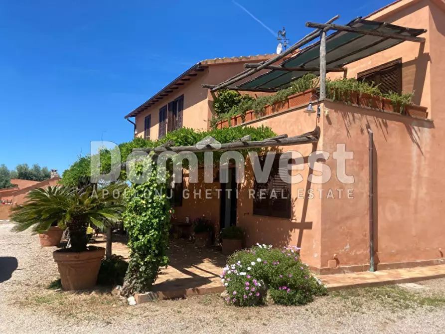 Immagine 28 di Rustico / casale in vendita  in Pescia Fiorentina a Capalbio