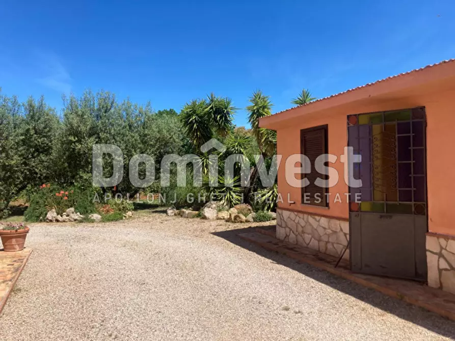 Immagine 30 di Rustico / casale in vendita  in Pescia Fiorentina a Capalbio