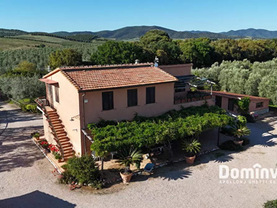 Immagine 31 di Rustico / casale in vendita  in Pescia Fiorentina a Capalbio