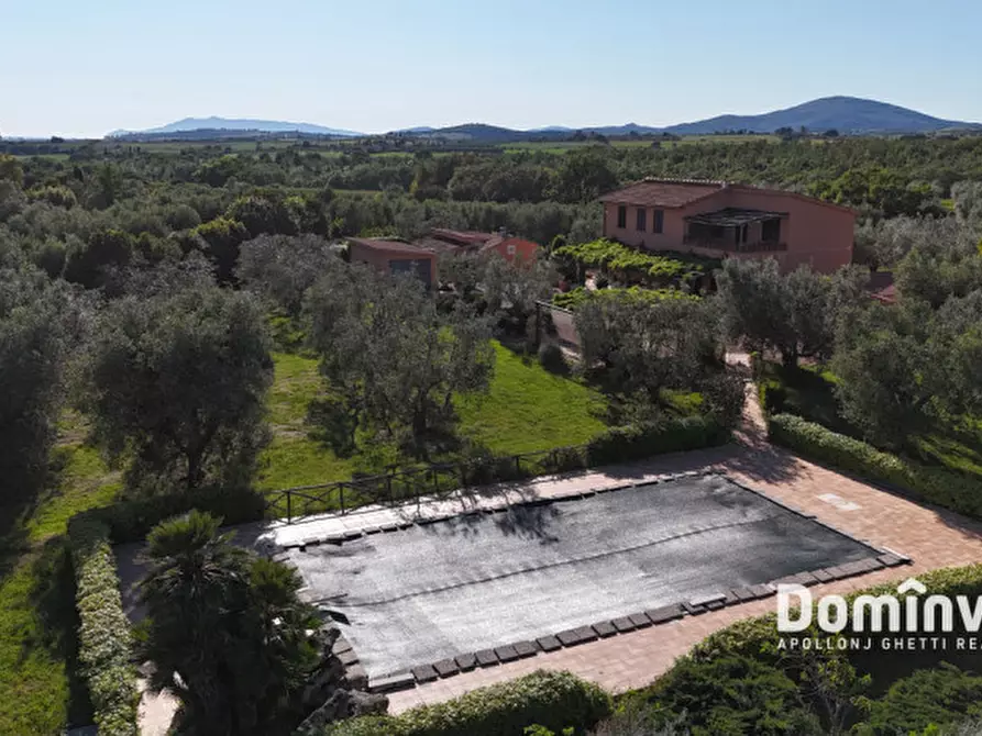 Immagine 32 di Rustico / casale in vendita  in Pescia Fiorentina a Capalbio