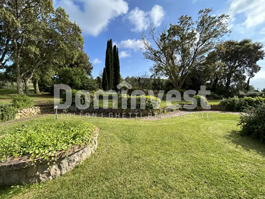 Immagine 21 di Rustico / casale in vendita  in Strada Villa Pinciana a Capalbio