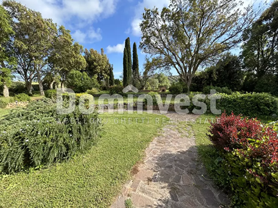 Immagine 27 di Rustico / casale in vendita  in Strada Villa Pinciana a Capalbio