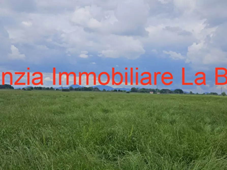 Immagine 2 di Terreno in vendita  in Via Cavour a Vescovana