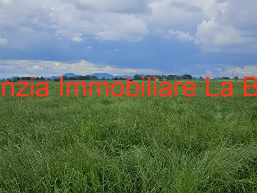 Immagine 3 di Terreno in vendita  in Via Cavour a Vescovana