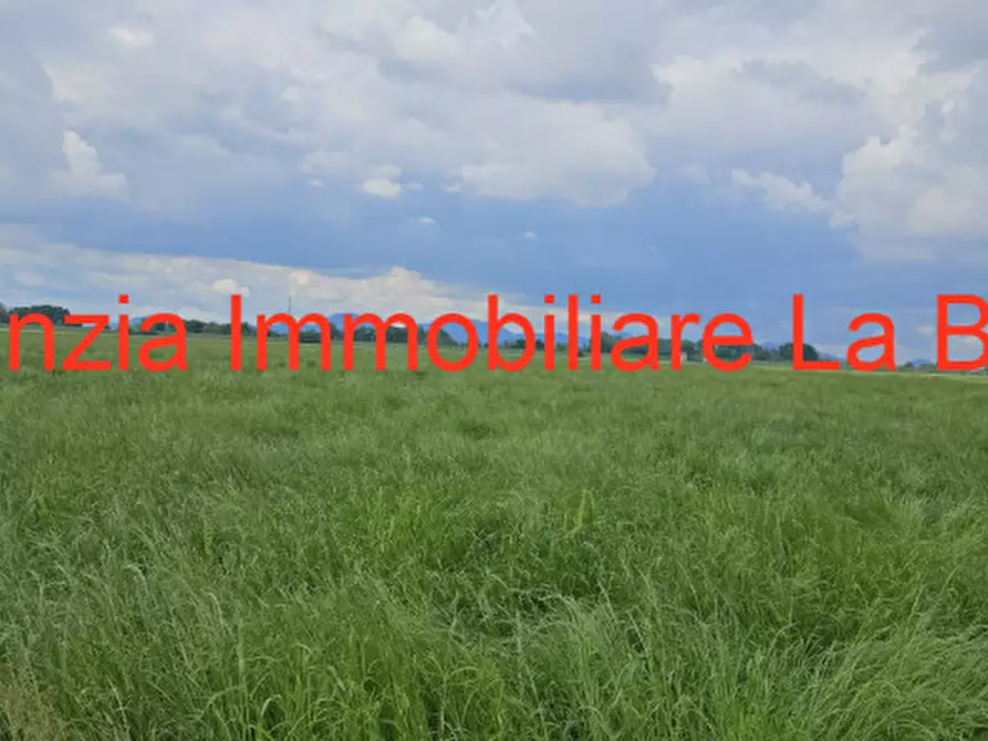 Immagine 4 di Terreno in vendita  in Via Cavour a Vescovana