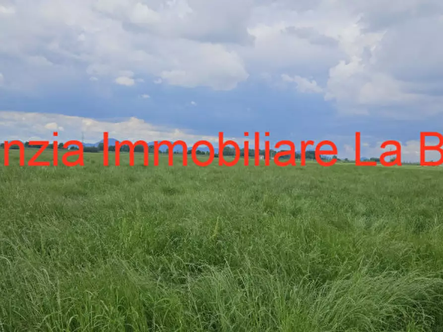 Immagine 5 di Terreno in vendita  in Via Cavour a Vescovana