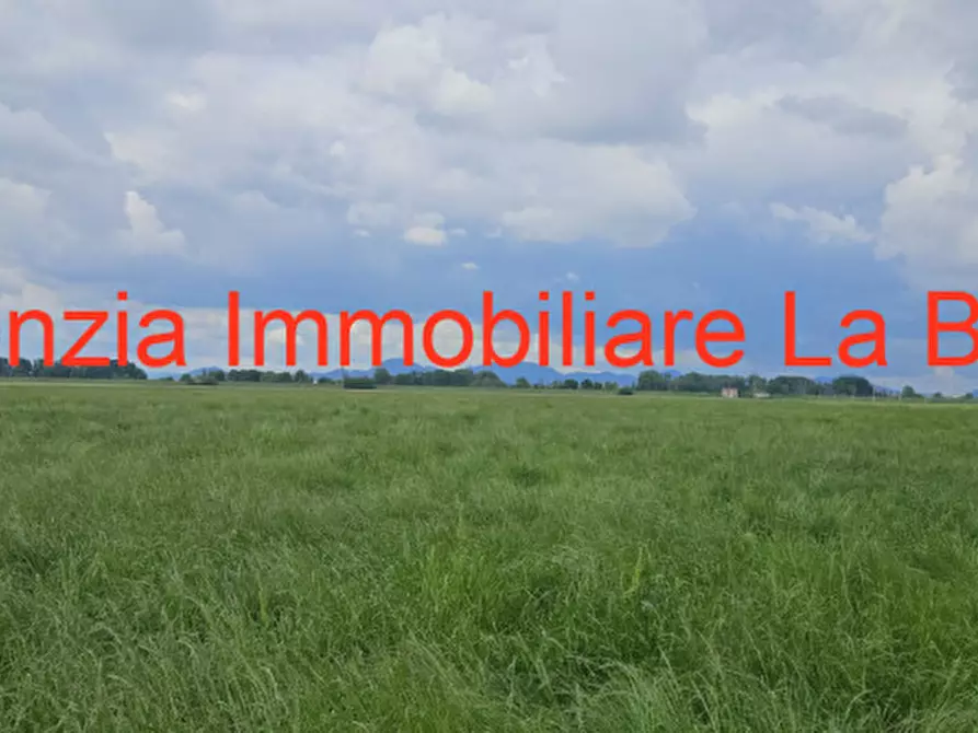 Immagine 6 di Terreno in vendita  in Via Cavour a Vescovana