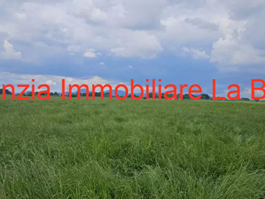 Immagine 7 di Terreno in vendita  in Via Cavour a Vescovana