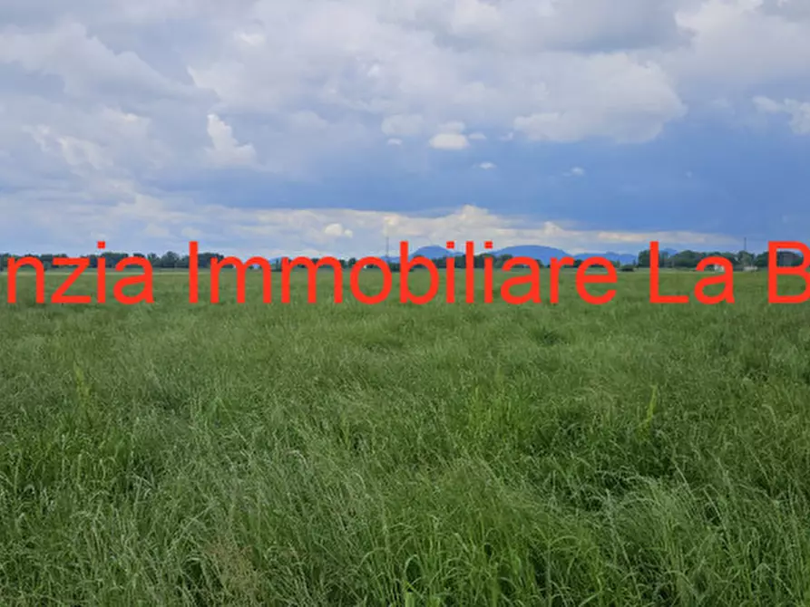 Immagine 8 di Terreno in vendita  in Via Cavour a Vescovana