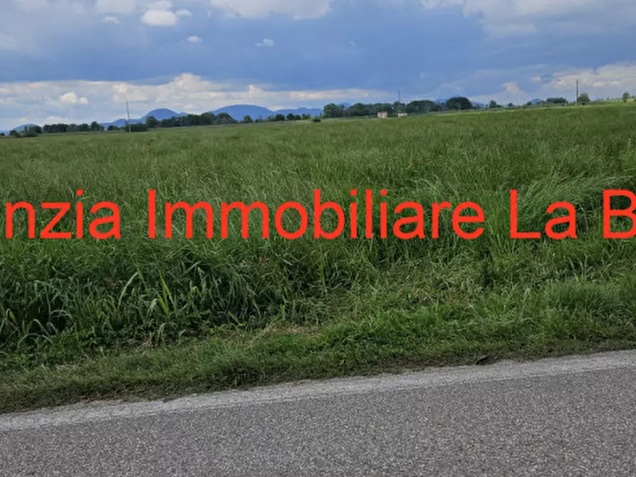 Immagine 10 di Terreno in vendita  in Via Cavour a Vescovana