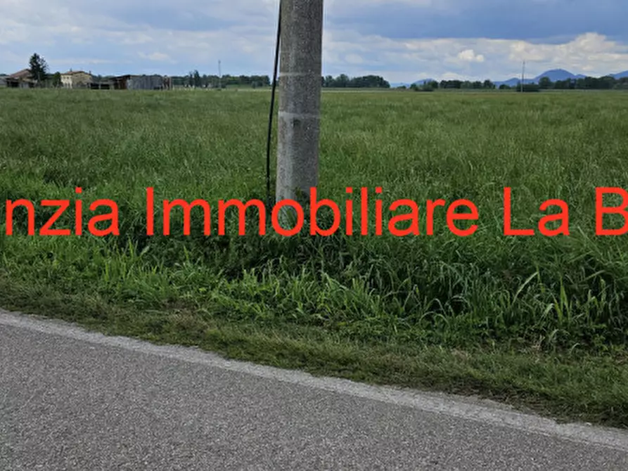 Immagine 12 di Terreno in vendita  in Via Cavour a Vescovana