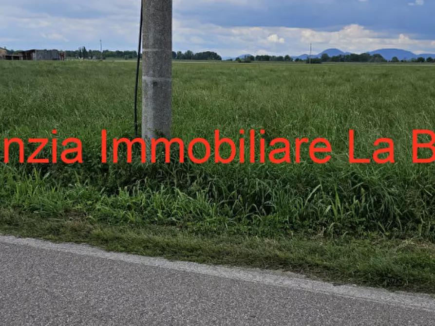 Immagine 13 di Terreno in vendita  in Via Cavour a Vescovana