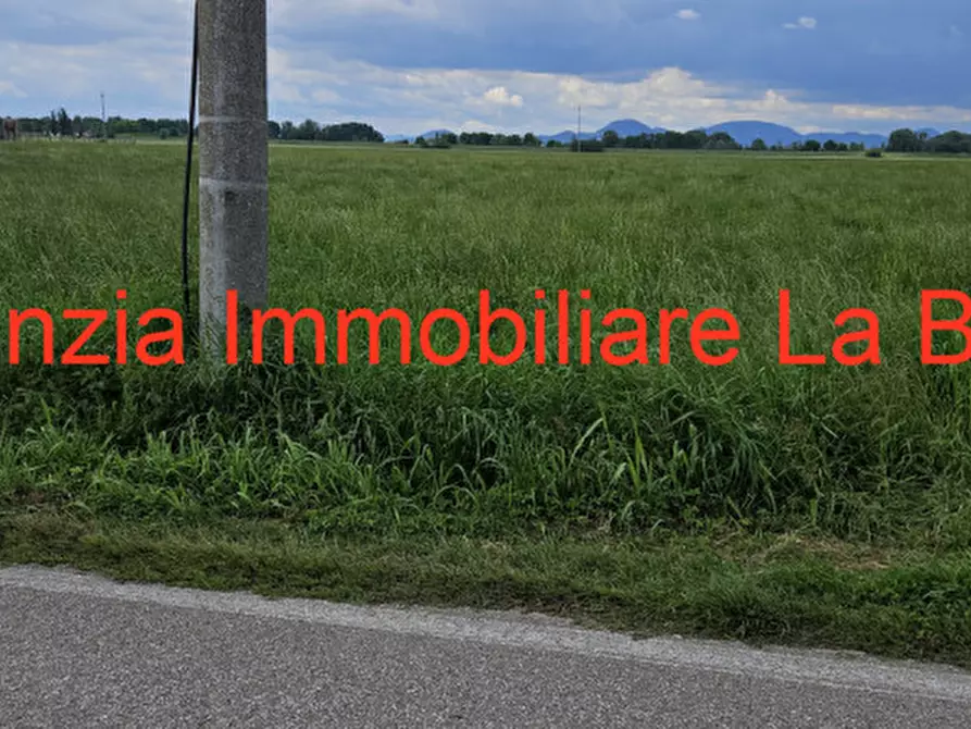 Immagine 14 di Terreno in vendita  in Via Cavour a Vescovana