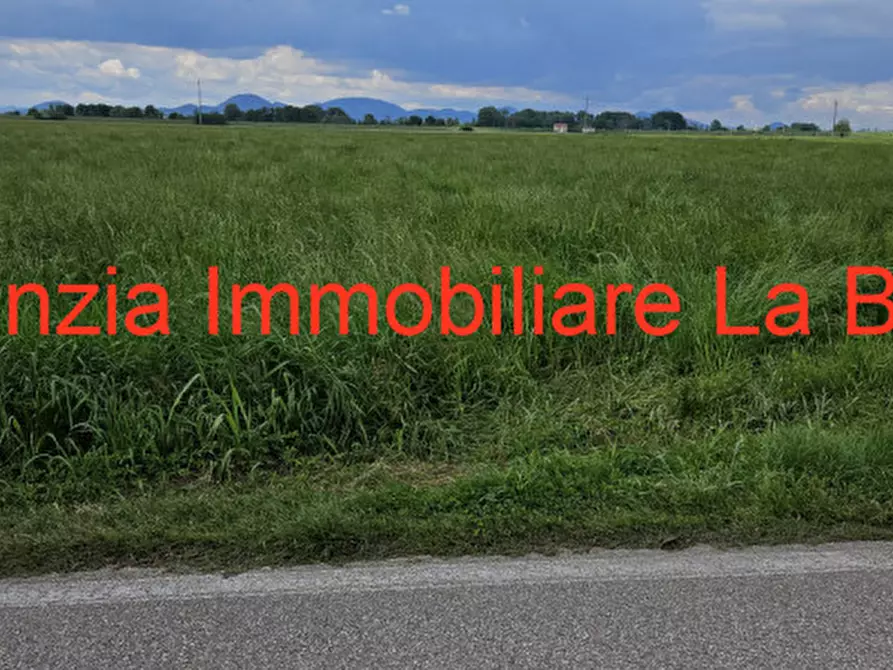 Immagine 15 di Terreno in vendita  in Via Cavour a Vescovana