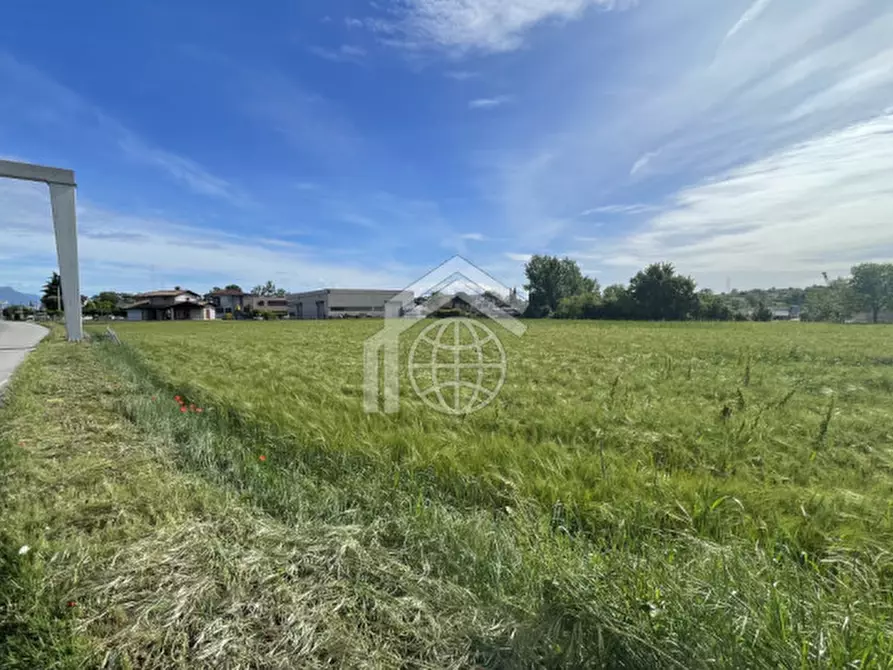 Immagine 3 di Terreno in vendita  in via delle Battaglie a Lonato del Garda