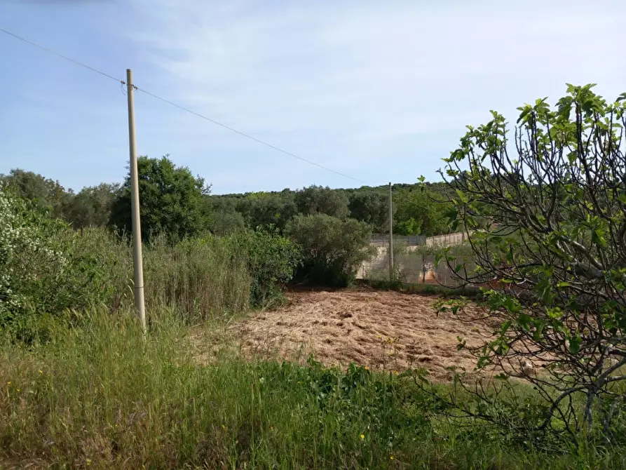 Immagine 23 di Rustico / casale in vendita  in C.da Pisciacalze a Ceglie Messapico