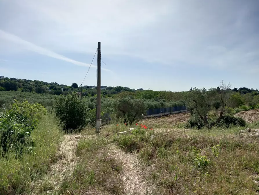 Immagine 24 di Rustico / casale in vendita  in C.da Pisciacalze a Ceglie Messapico