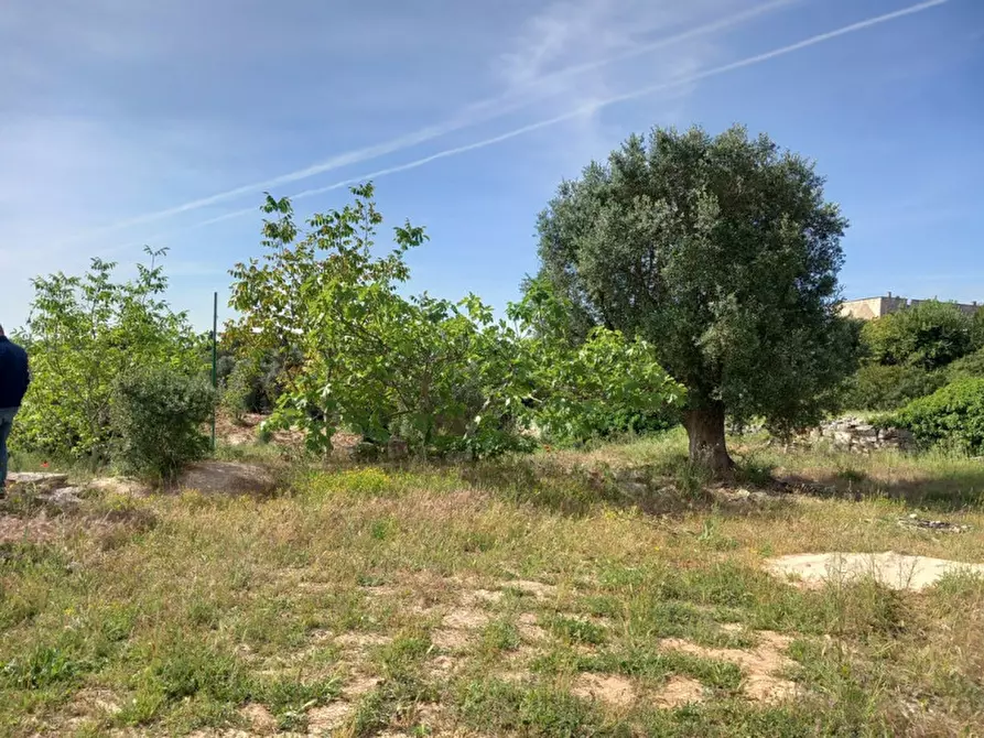 Immagine 25 di Rustico / casale in vendita  in C.da Pisciacalze a Ceglie Messapico