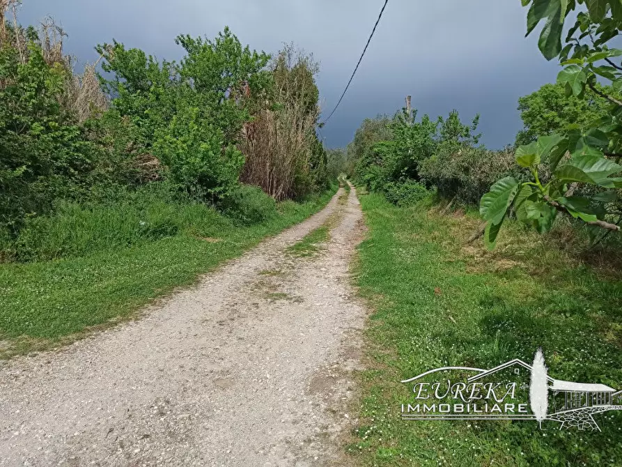 Immagine 14 di Magazzino in vendita  in via roma 152 a Castiglione Del Lago