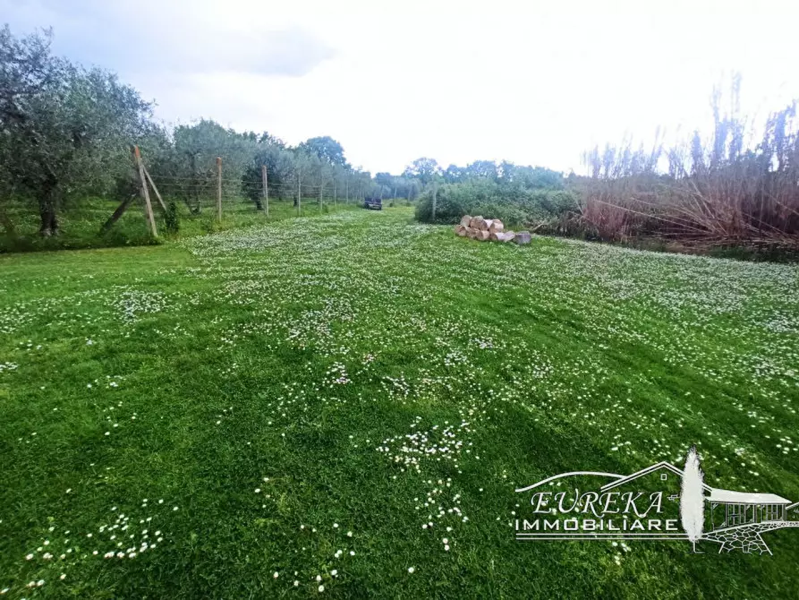 Immagine 16 di Magazzino in vendita  in via roma 152 a Castiglione Del Lago