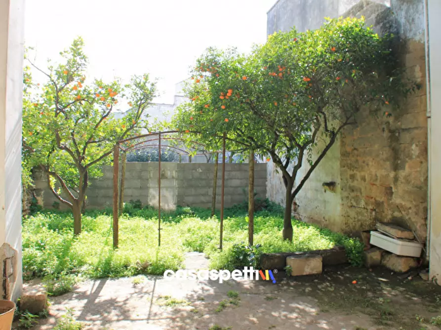 Immagine 4 di Casa indipendente in vendita  in Via XX Settembre, San Pietro Vernotico (BR) a San Pietro Vernotico