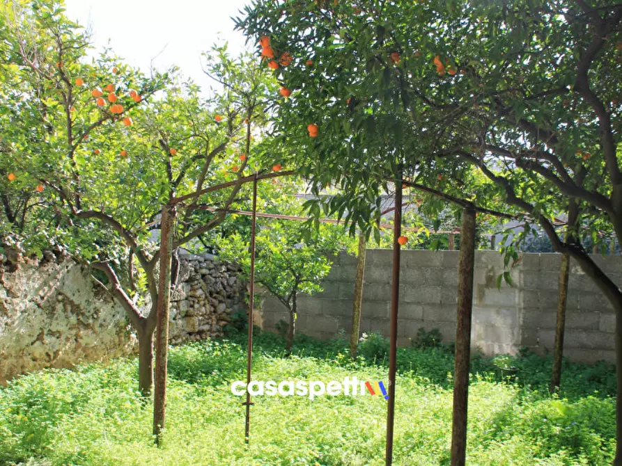 Immagine 5 di Casa indipendente in vendita  in Via XX Settembre, San Pietro Vernotico (BR) a San Pietro Vernotico