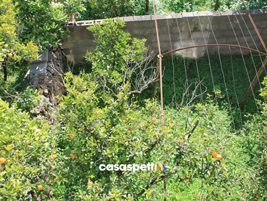 Immagine 21 di Casa indipendente in vendita  in Via XX Settembre, San Pietro Vernotico (BR) a San Pietro Vernotico