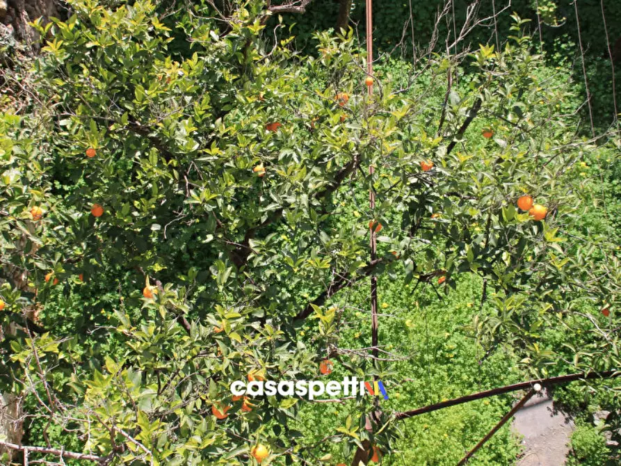 Immagine 22 di Casa indipendente in vendita  in Via XX Settembre, San Pietro Vernotico (BR) a San Pietro Vernotico