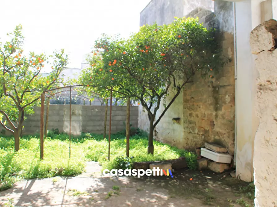 Immagine 26 di Casa indipendente in vendita  in Via XX Settembre, San Pietro Vernotico (BR) a San Pietro Vernotico