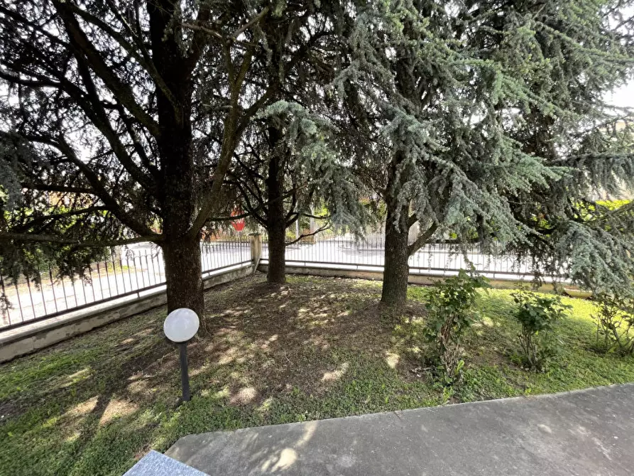 Immagine 45 di Casa indipendente in vendita  a Suzzara