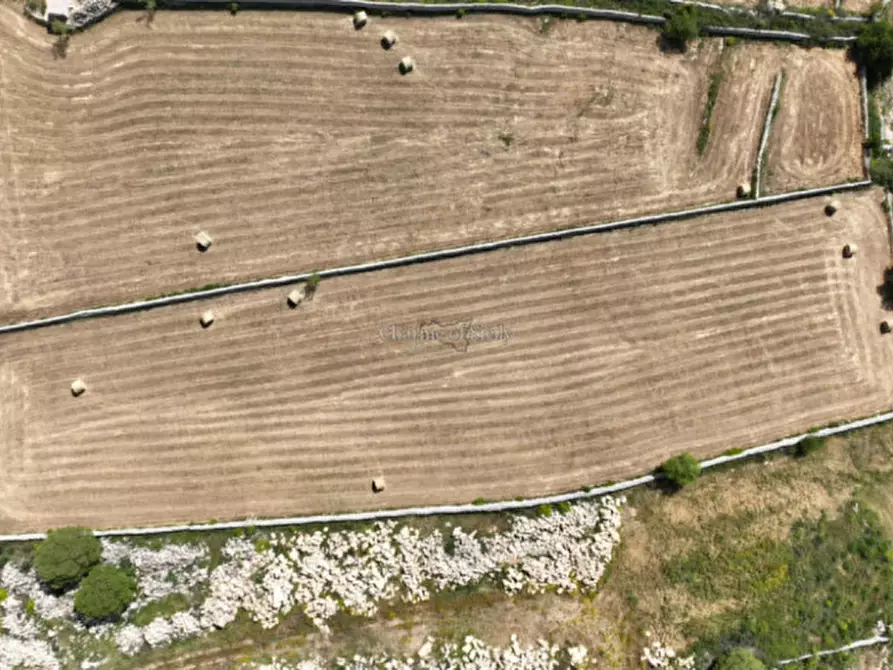 Immagine 4 di Terreno in vendita  in bussello a Modica