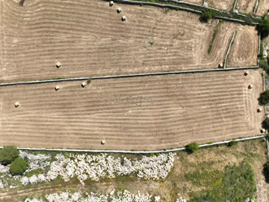 Immagine 5 di Terreno in vendita  in bussello a Modica