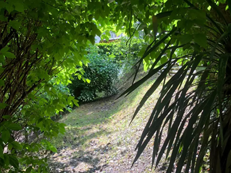 Immagine 3 di Terreno in vendita  in VIA PORRETTANA a Sasso Marconi