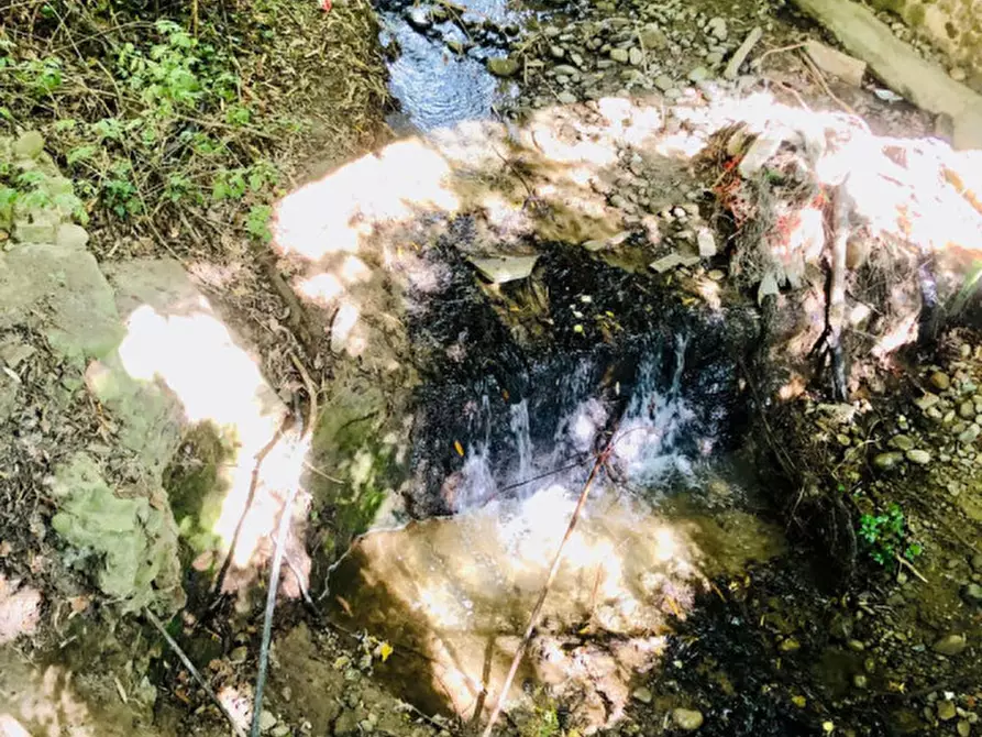 Immagine 14 di Terreno in vendita  in VIA PORRETTANA a Sasso Marconi