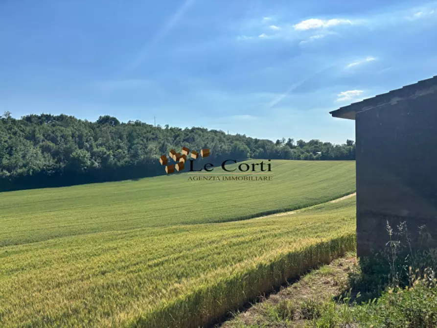 Immagine 5 di Rustico / casale in vendita  a Lonigo