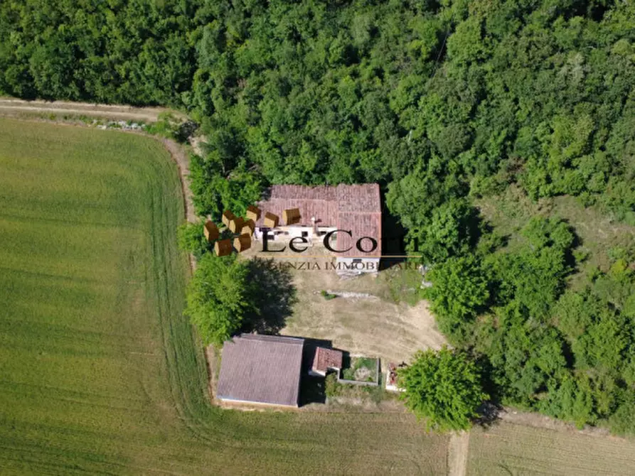 Immagine 9 di Rustico / casale in vendita  a Lonigo