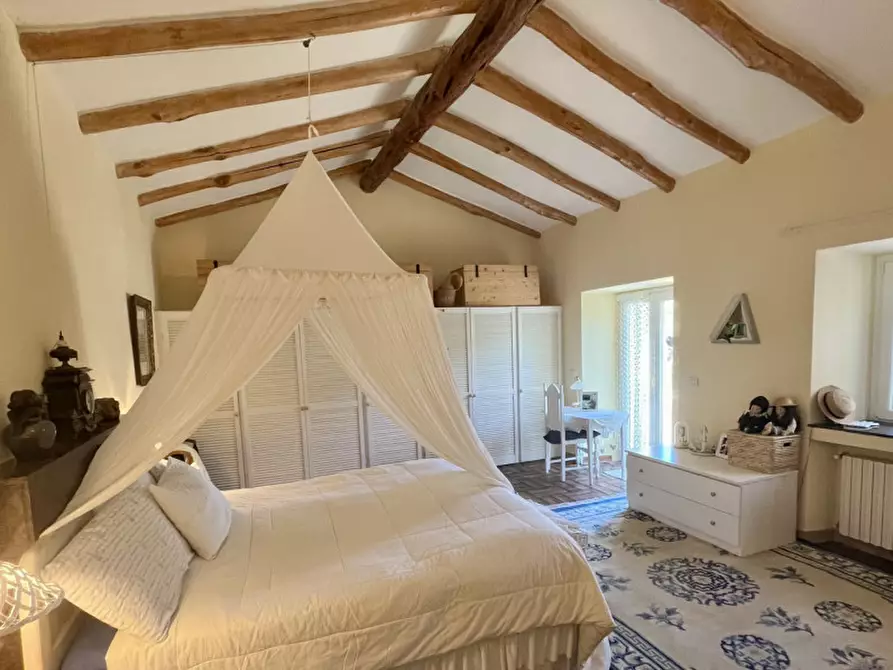 Immagine 23 di Villa in vendita  in via zara a Olbia