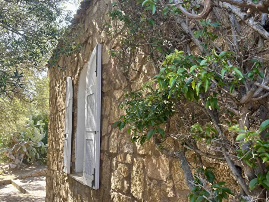 Immagine 36 di Villa in vendita  in via zara a Olbia