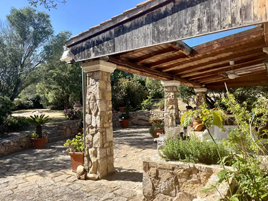 Immagine 37 di Villa in vendita  in via zara a Olbia