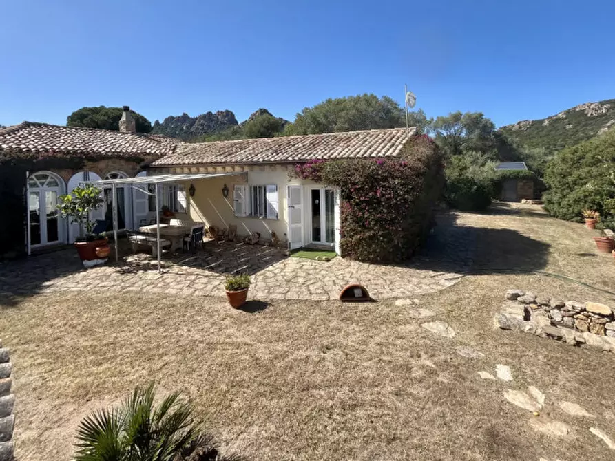Immagine 42 di Villa in vendita  in via zara a Olbia