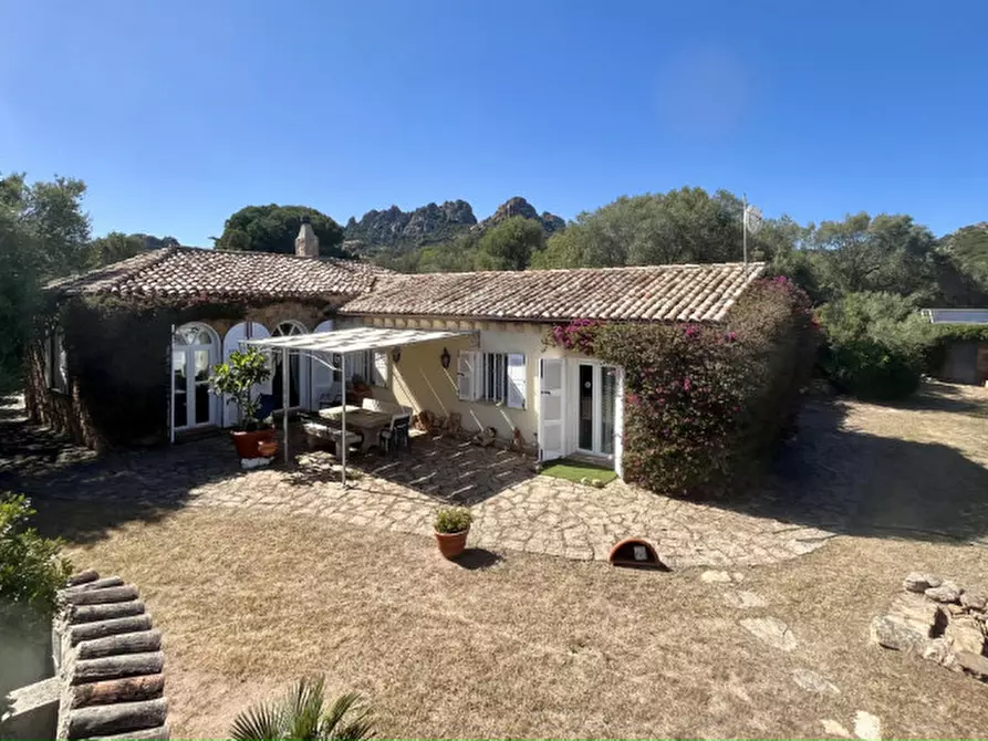 Immagine 49 di Villa in vendita  in via zara a Olbia