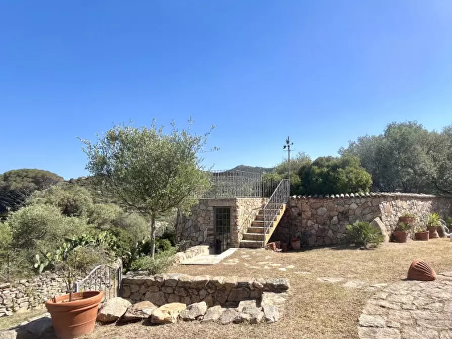 Immagine 51 di Villa in vendita  in via zara a Olbia
