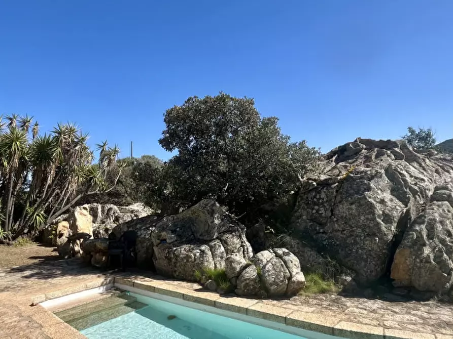 Immagine 56 di Villa in vendita  in via zara a Olbia